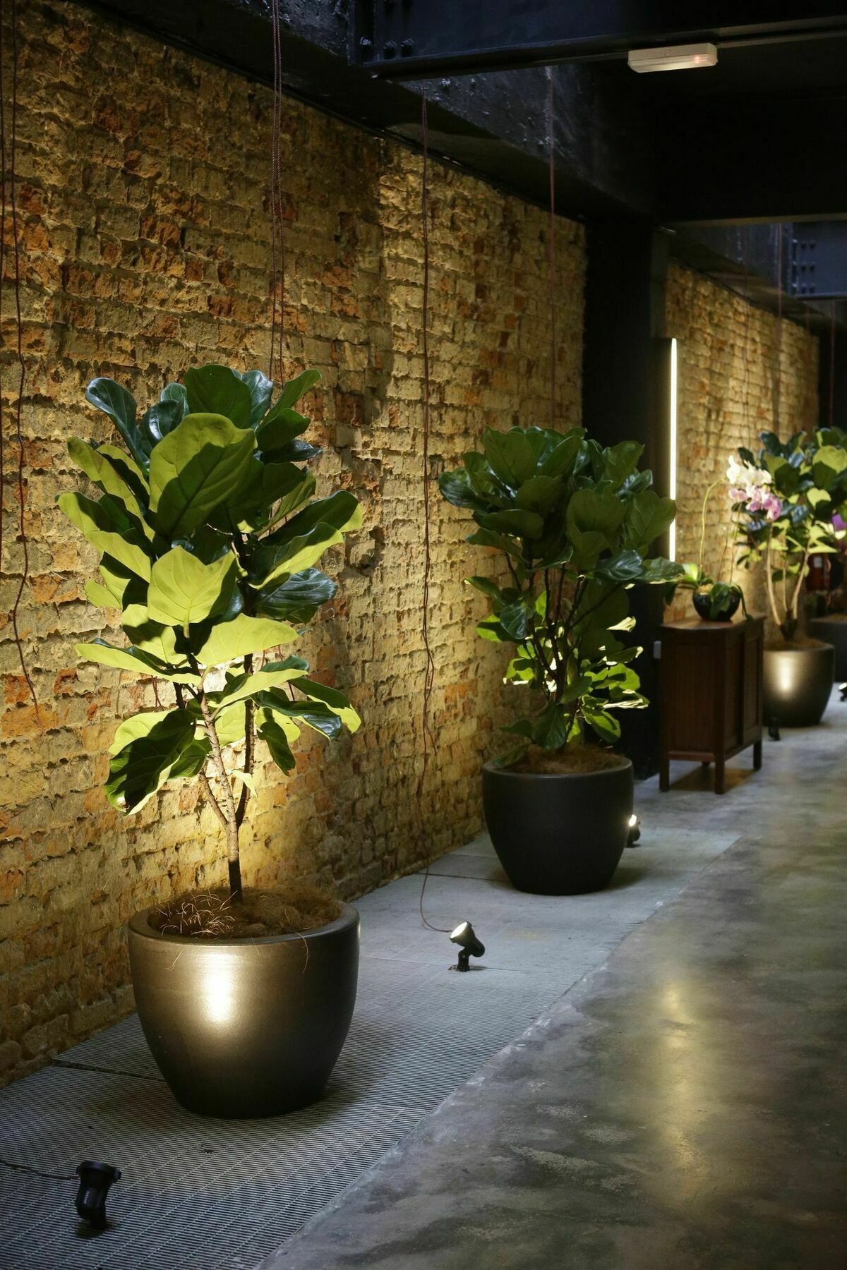 Tian Jing Hotel 3*